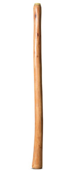 Medium Size Natural Finish Didgeridoo (TW1637)